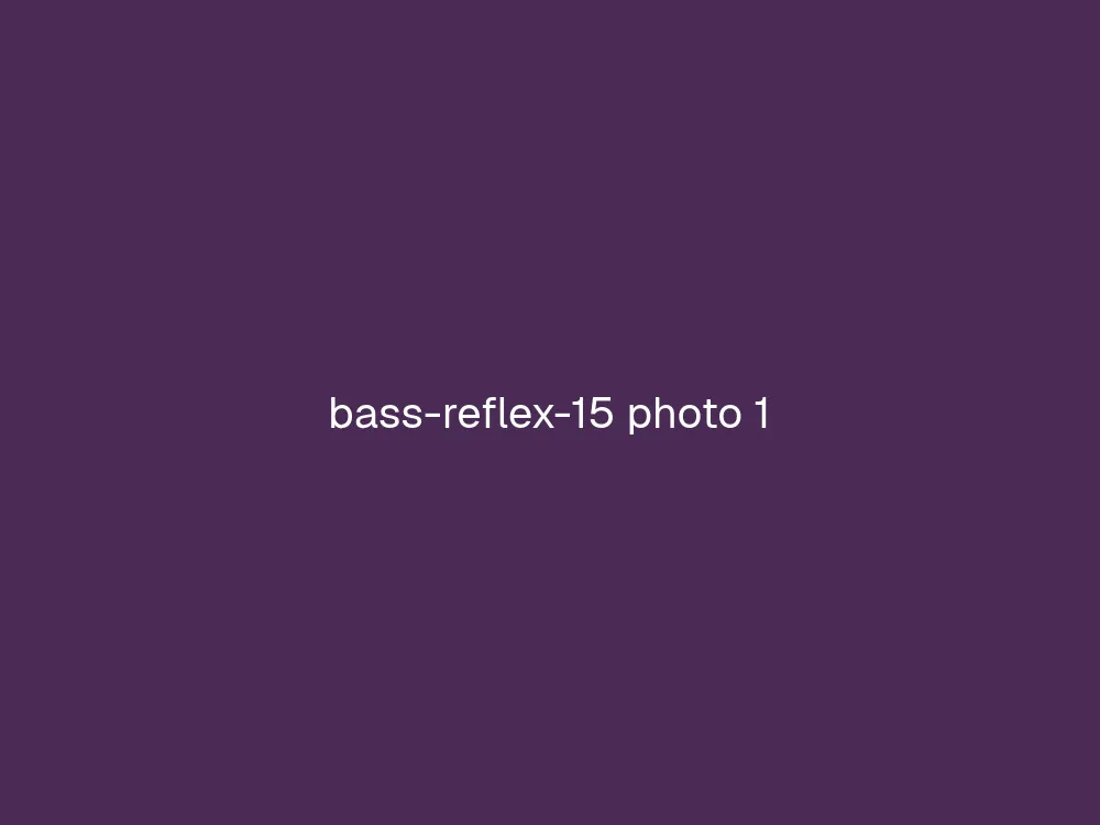 15" Bass Reflex