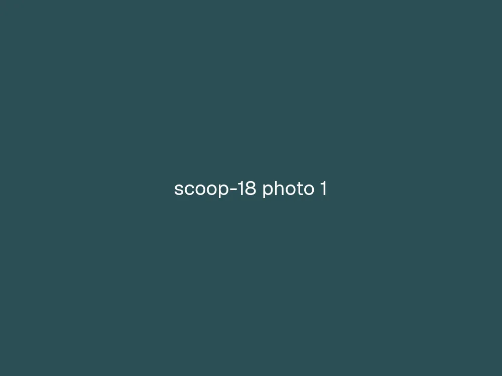 18" Scoop Horn