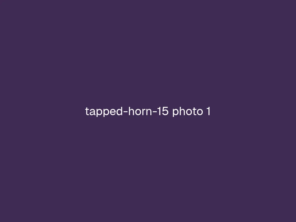 15" Tapped Horn