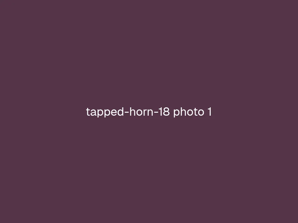 18" Tapped Horn