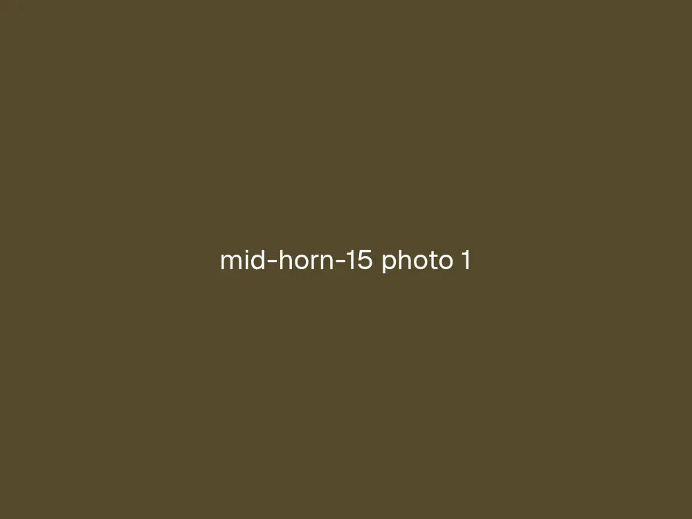 15" Mid Horn
