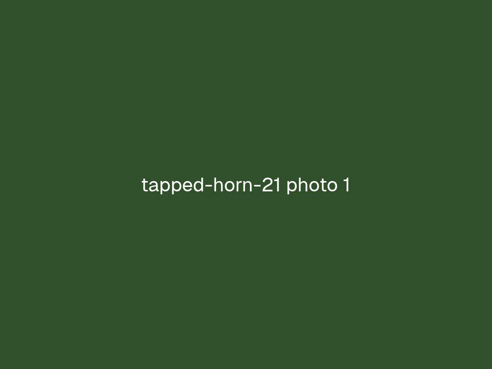 21" Tapped Horn