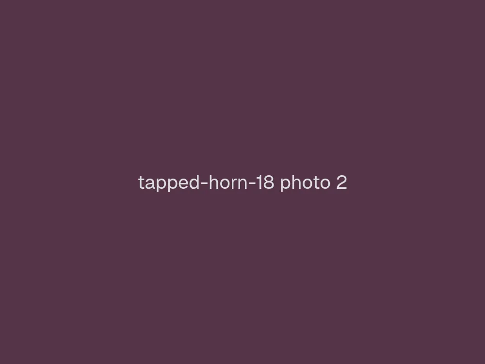 18" Tapped Horn