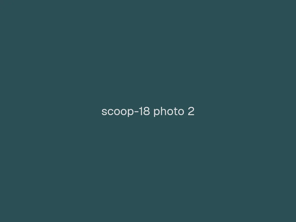 18" Scoop Horn