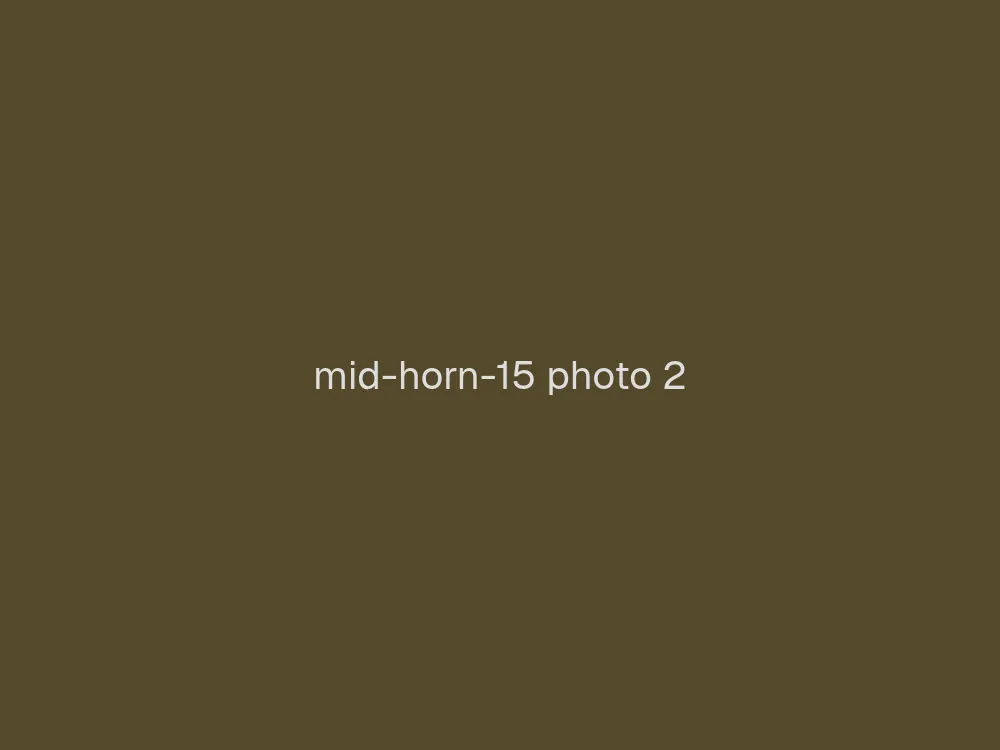 15" Mid Horn