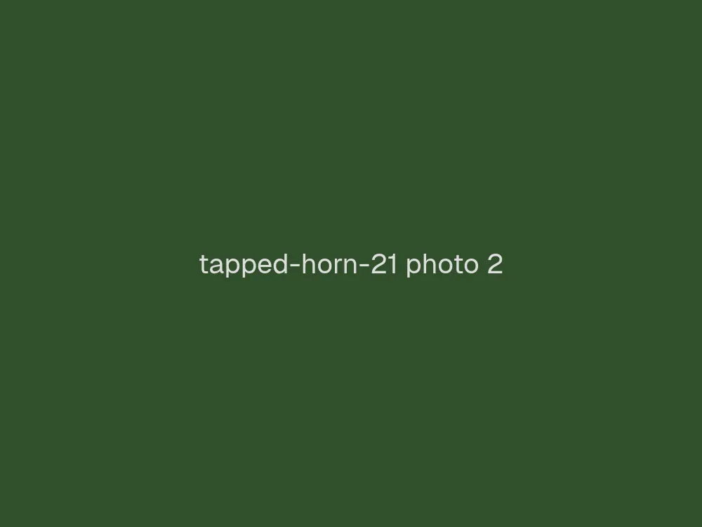21" Tapped Horn