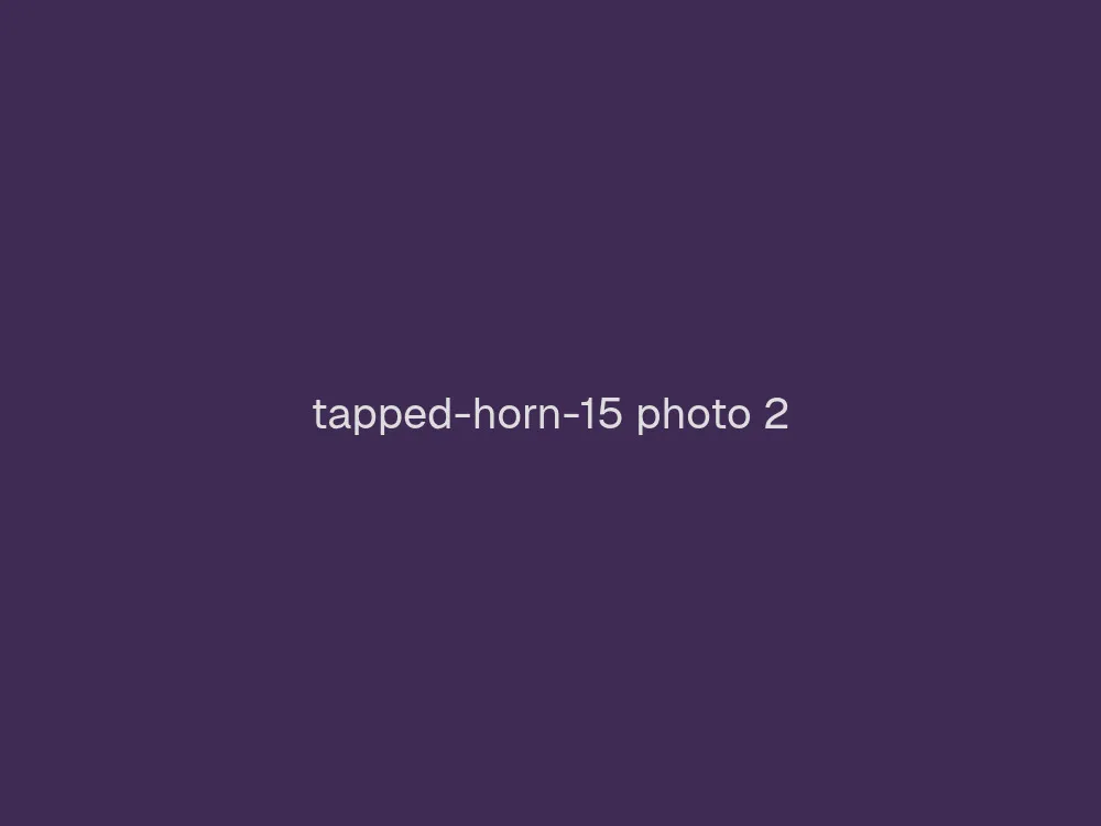 15" Tapped Horn
